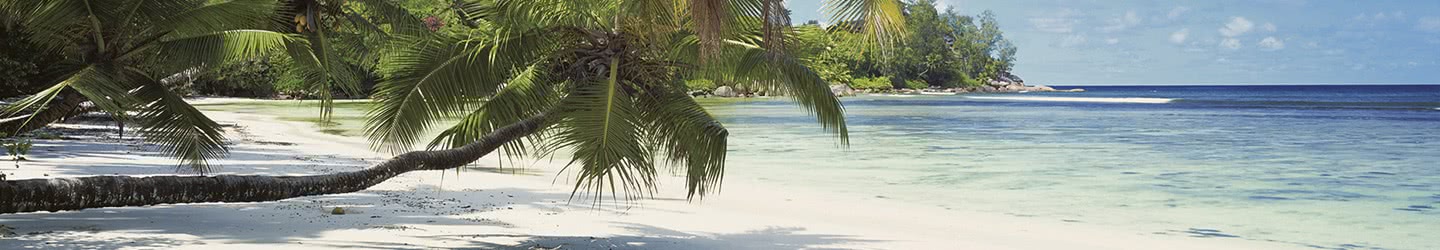 Les Caraïbes Les Caraïbes