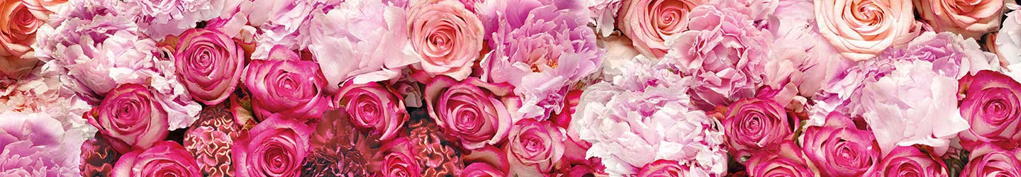 Posters XXL floraux Posters XXL floraux