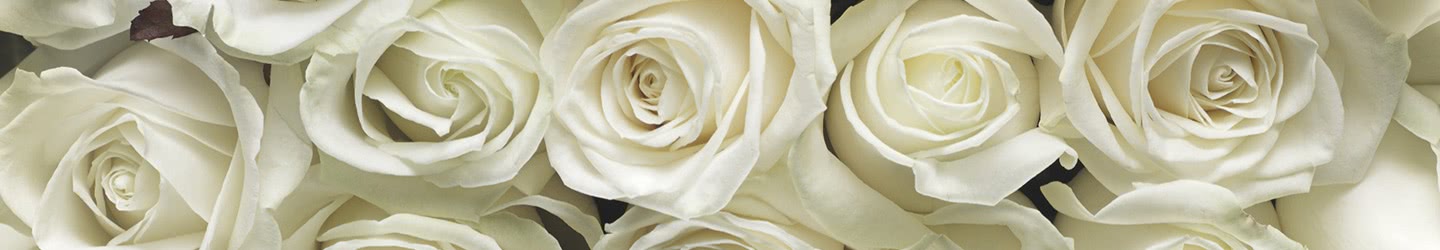 Rose Rose