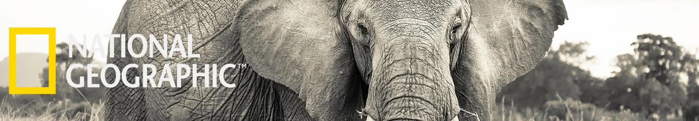 Posters XXL National Geographic