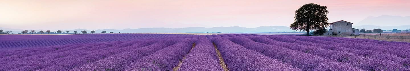 Paysages Paysages