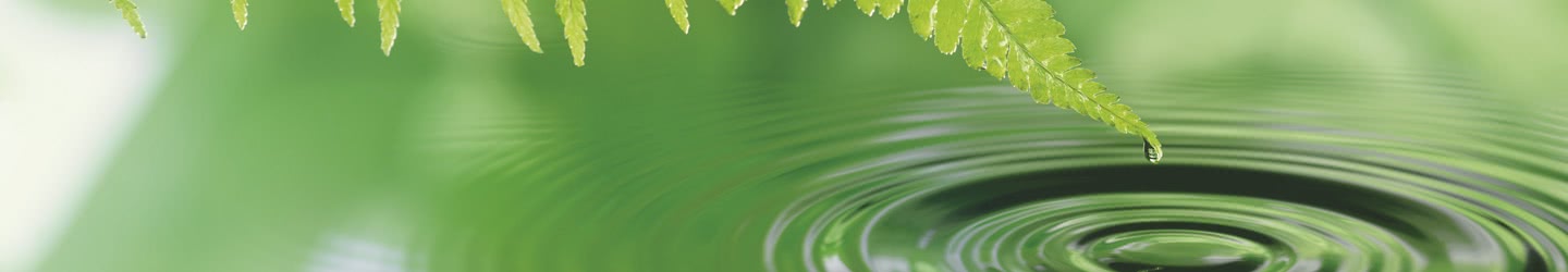 Nature & Plantes Nature & Plantes