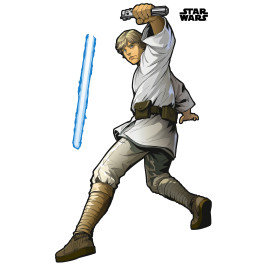 Star Wars - Enter Luke Skywalker Tableau sur toile | Décorations murales