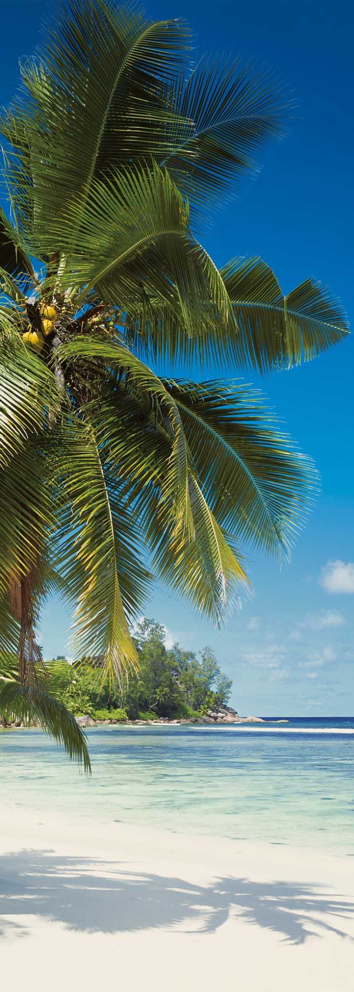 Panneau sur intissé  Coconut Bay