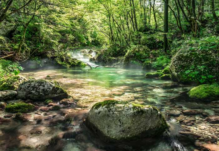 Photo murale Riverbed