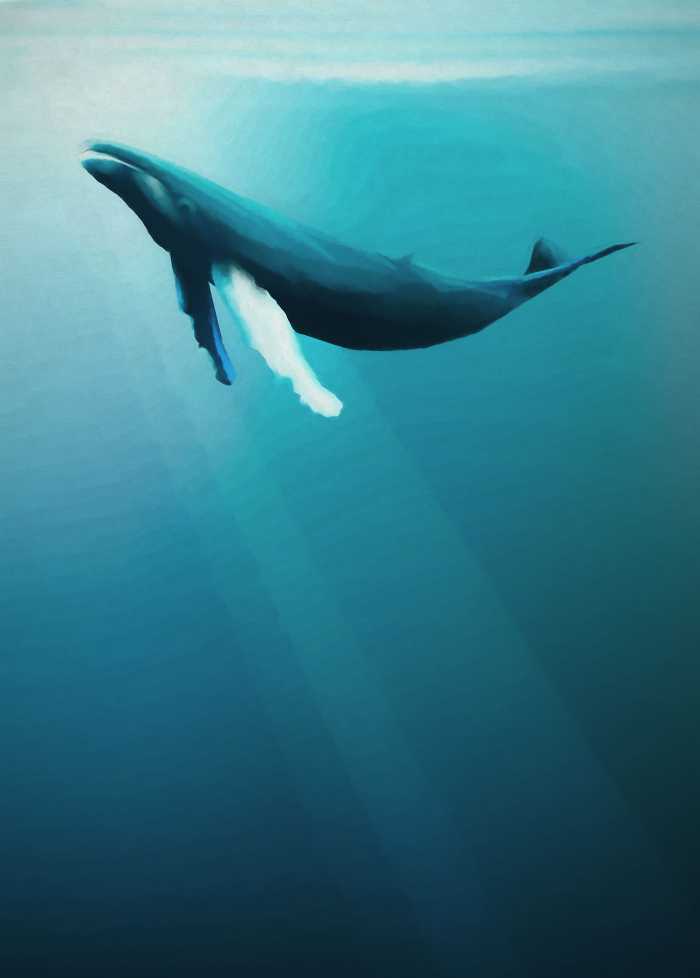 Poster XXL impression numérique Artsy Humpback Whale