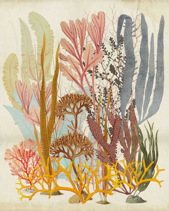 Poster XXL impression numérique Catchy Corals