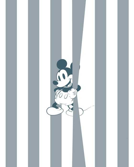 Intissé Premium Mickey Offbeat