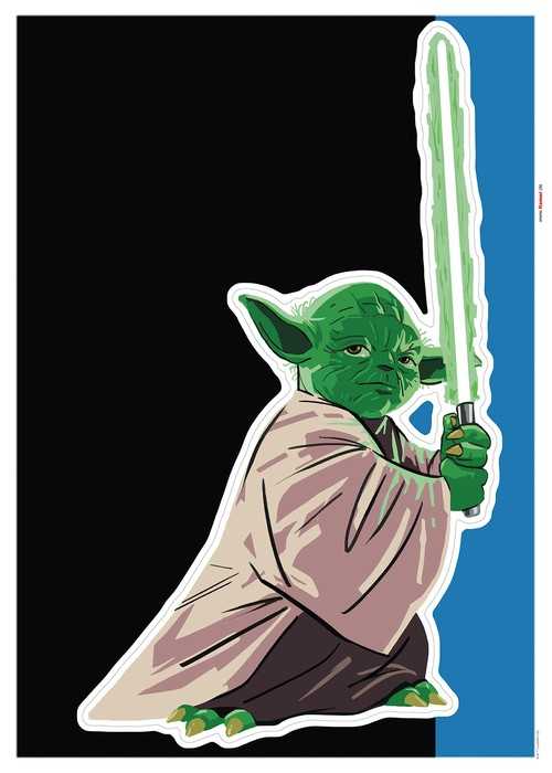  Star Wars Yoda training Session