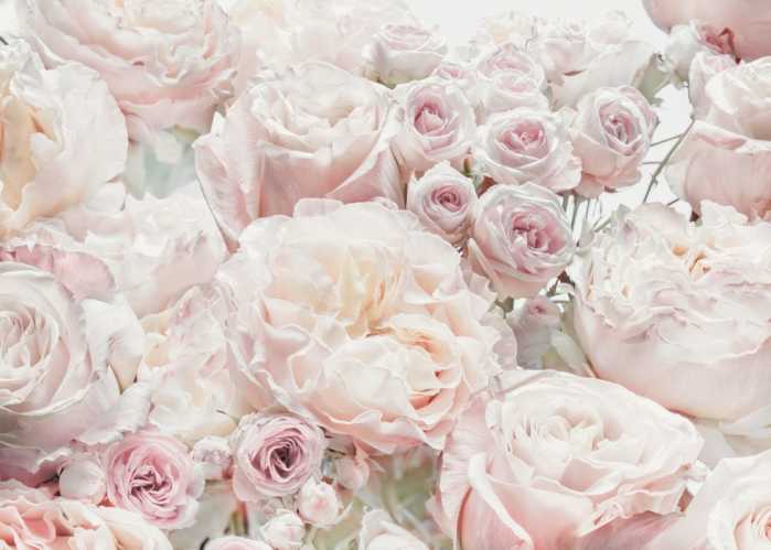 Intissé Spring Roses