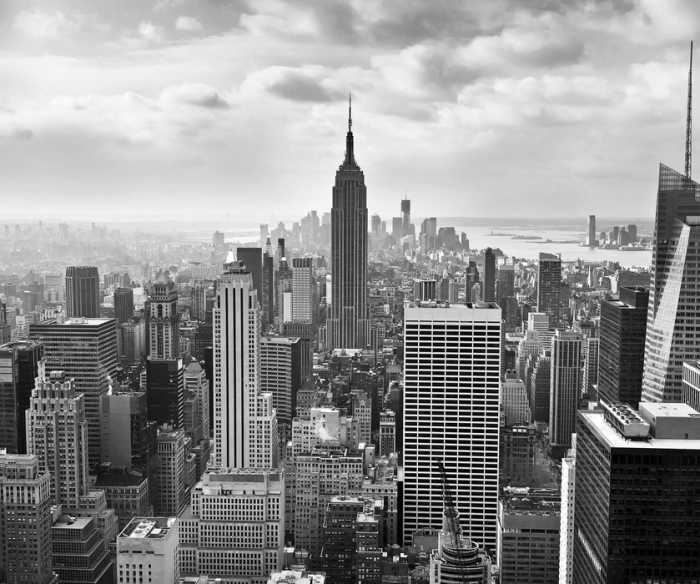 Intissé Premium NYC Black and White