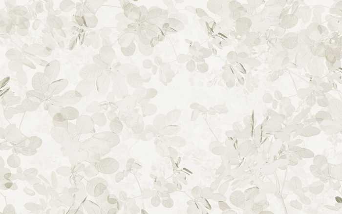 Intissé Premium Sheer Grey