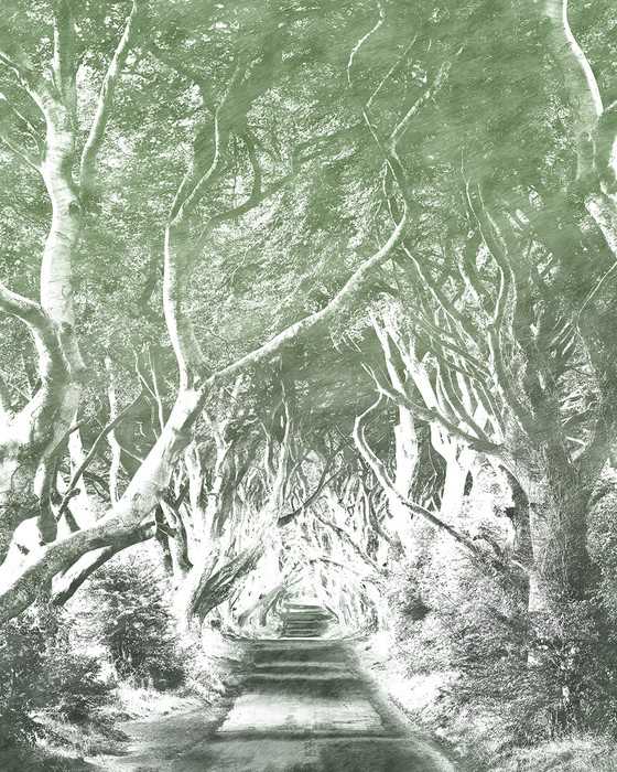 Intissé Premium Alley Graphite