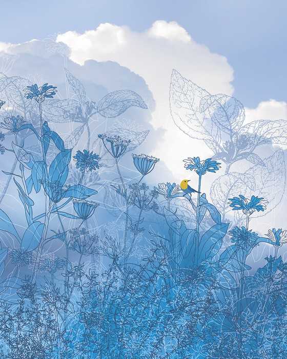 Intissé Premium Blue Sky