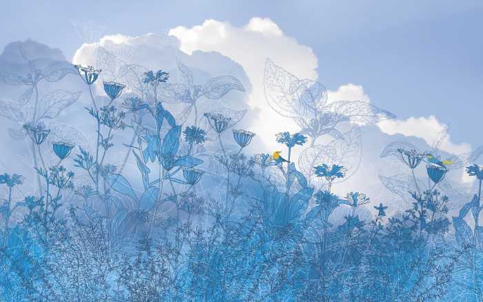 Intissé Premium Blue Sky II