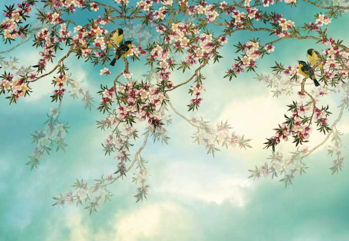Intissé Standard Sakura