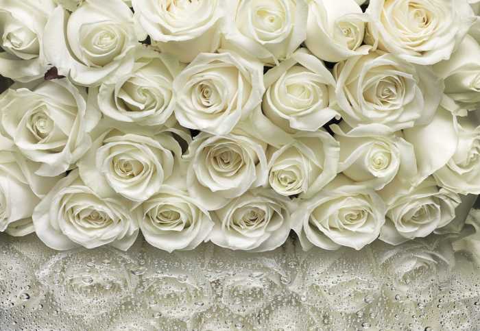 Papier A la Rose