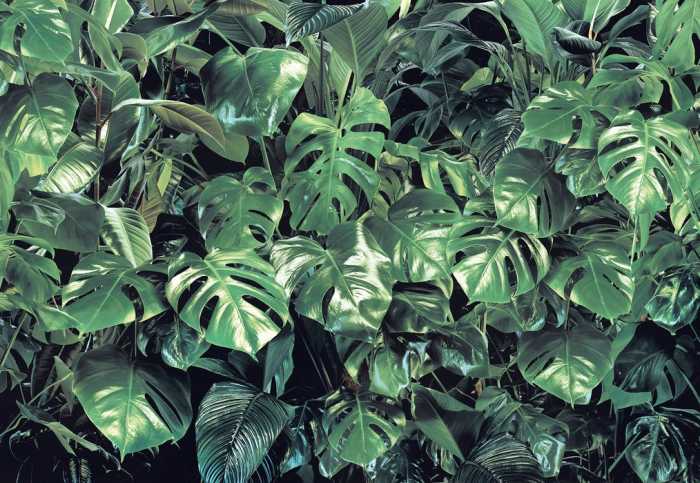 Papier Verdure