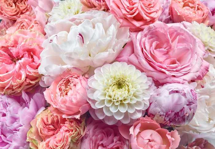 Papier Vibrant Spring