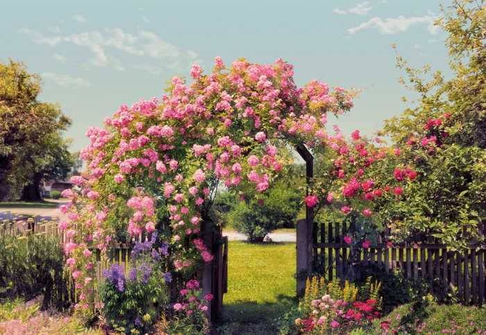 Papier Rose Garden