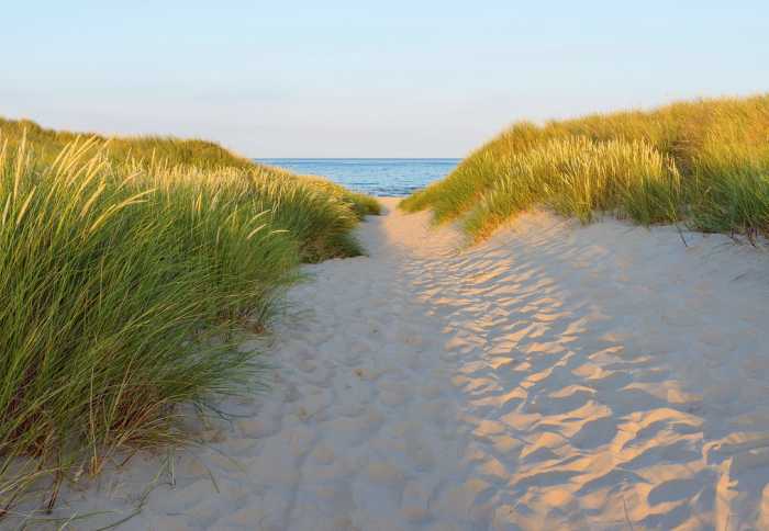 Papier Sandy Path