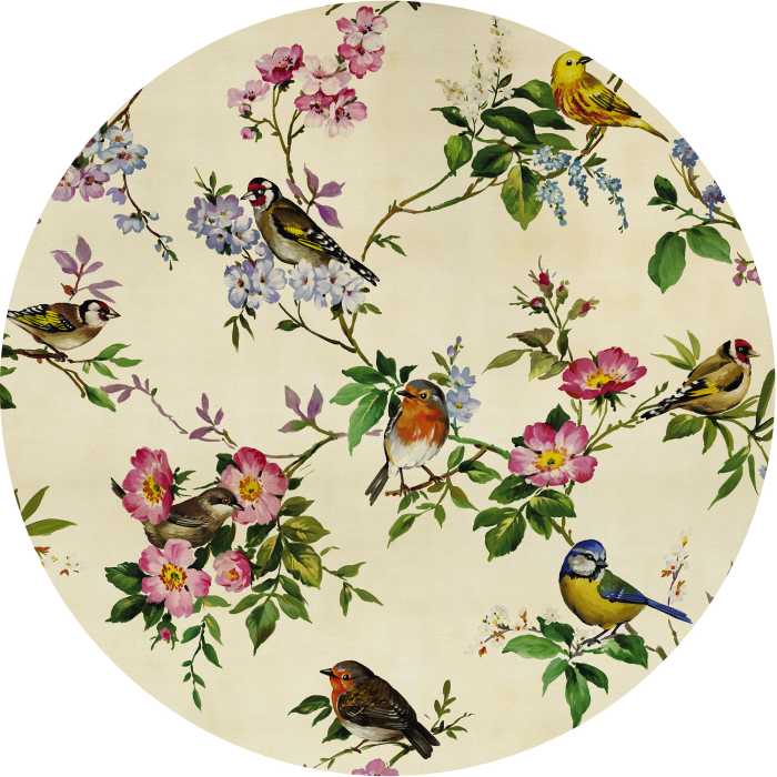 Photomural rond Bird Party