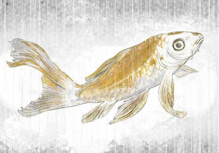 Photo murale intissé impression numérique Golden Koi
