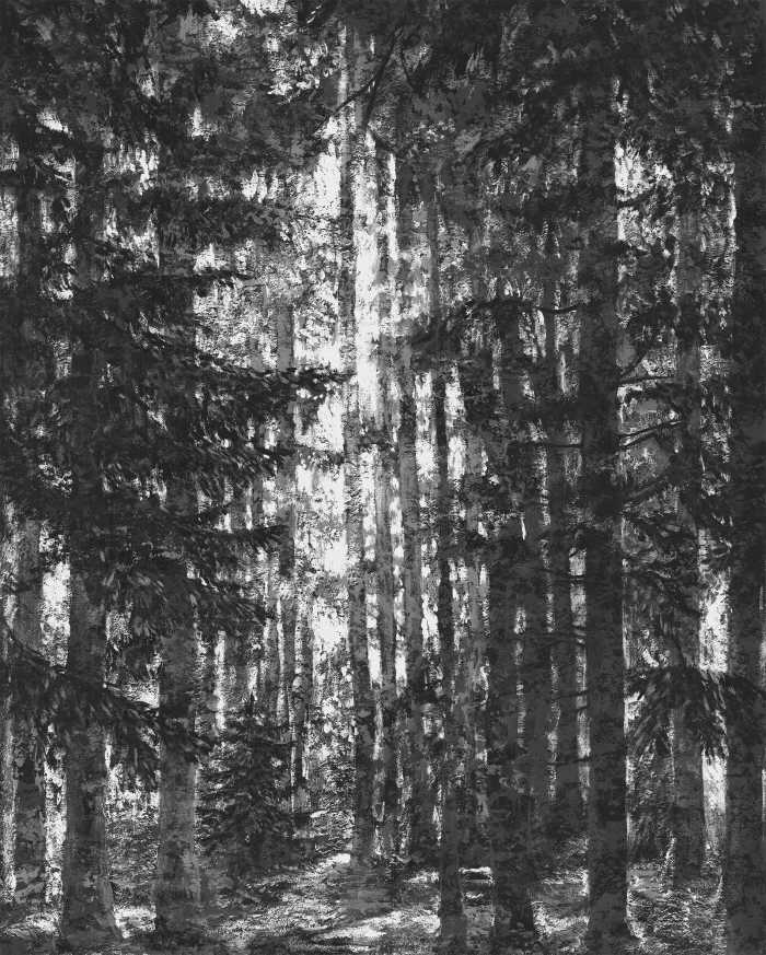 Photo murale intissé impression numérique Lustres Lapland