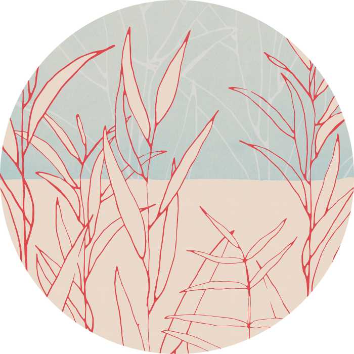 Photomural rond Grassland