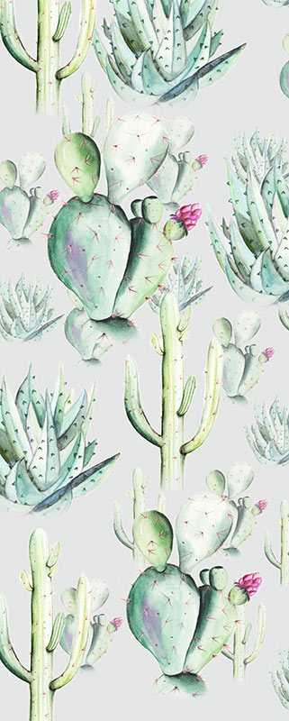 Photo murale intissé impression numérique Cactus Grey