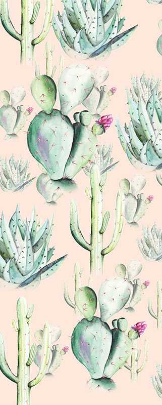 Photo murale intissé impression numérique Cactus Rose