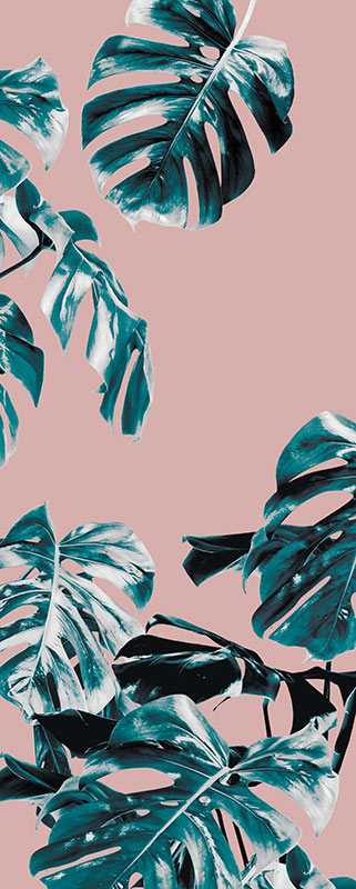 Photo murale intissé impression numérique Monstera Rosé Panel 