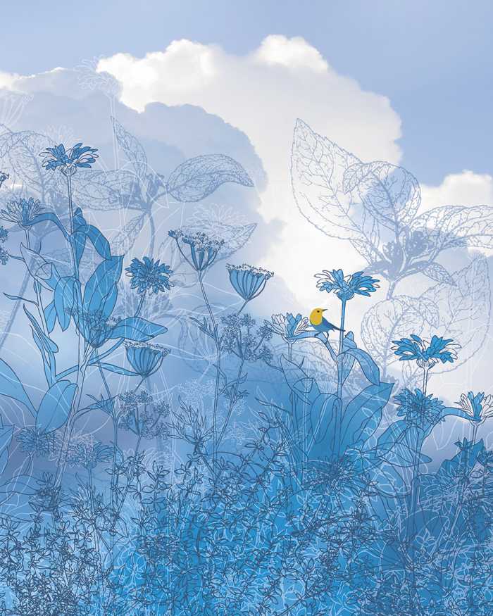 Photo murale intissé impression numérique Blue Sky