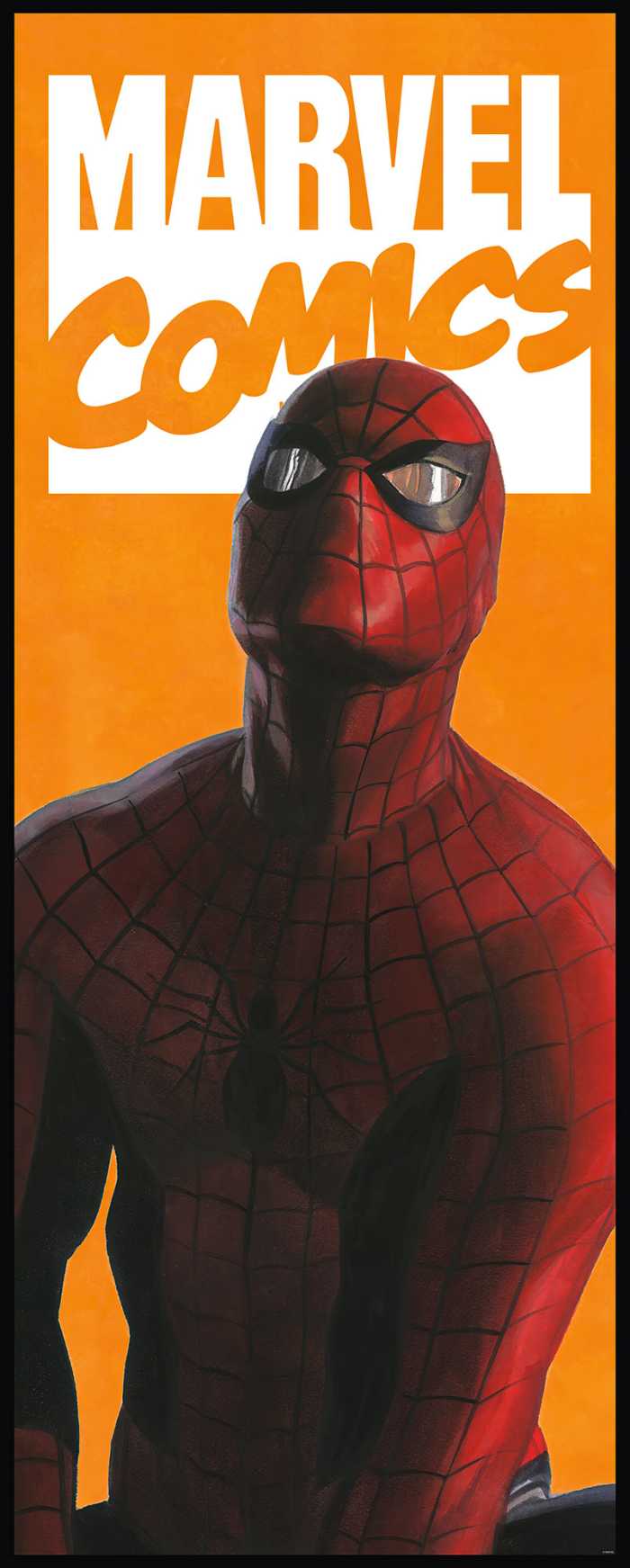Photo murale intissé impression numérique Spider-Man Comic