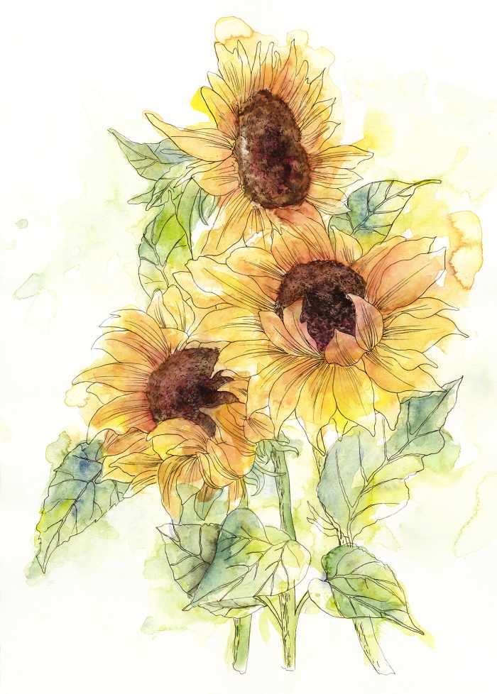 Photo murale intissé impression numérique Girasol