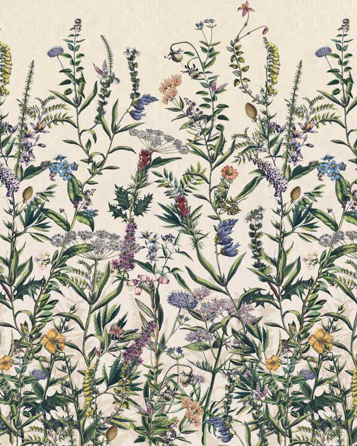 Photo murale intissé impression numérique Flowering Herbs