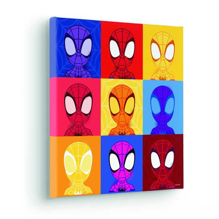 Tableau intissé Spidey Symmetry