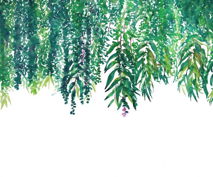 Intissé Standard Malta