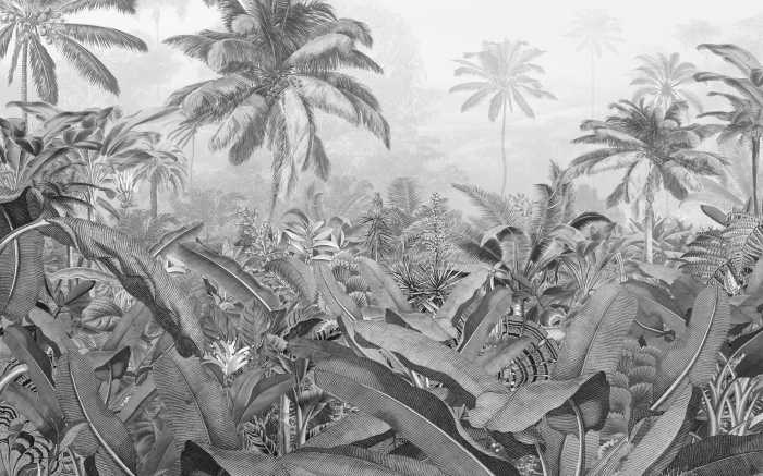 Photo murale intissé impression numérique Amazonia Black and White