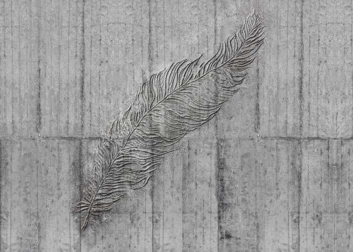 Photo murale intissé impression numérique Concrete Feather