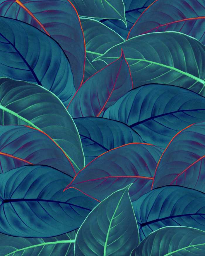 Photo murale intissé impression numérique Foliage
