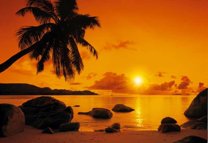 Photo murale Sunset