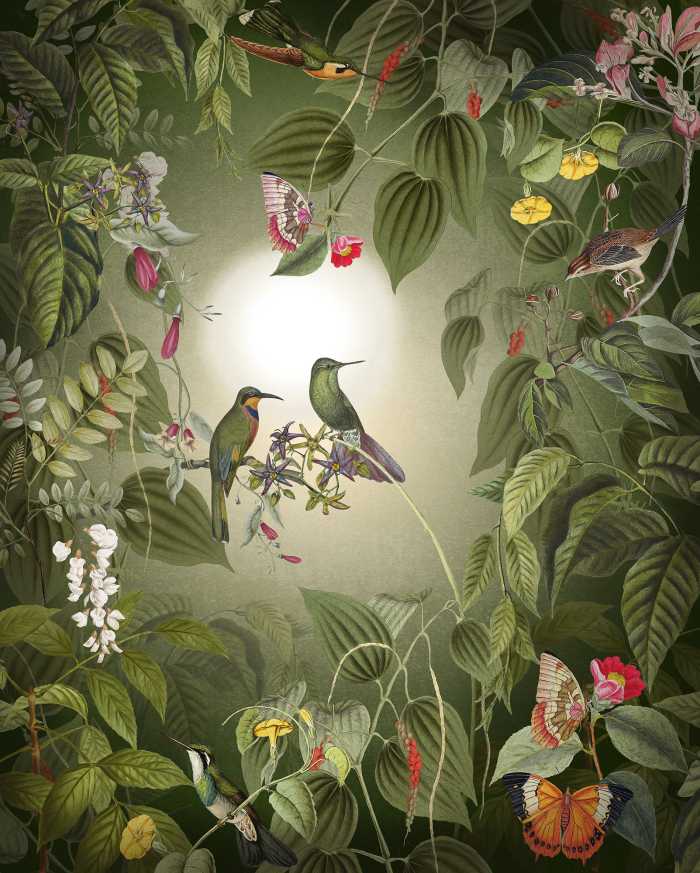 Photo murale intissé impression numérique Wildlife Birds