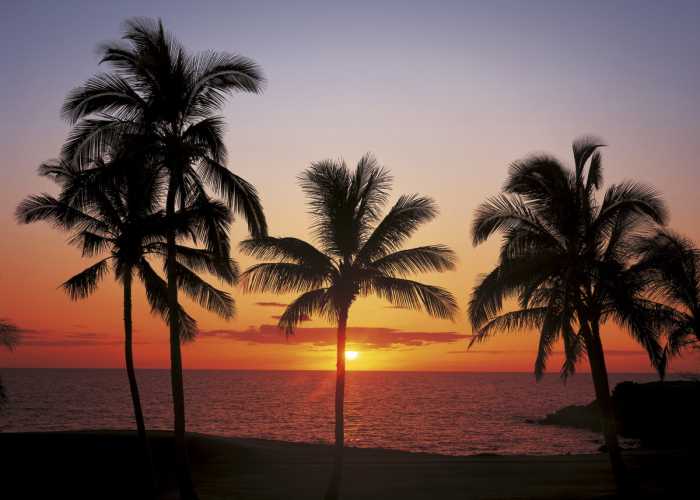 Photo murale Hawaii