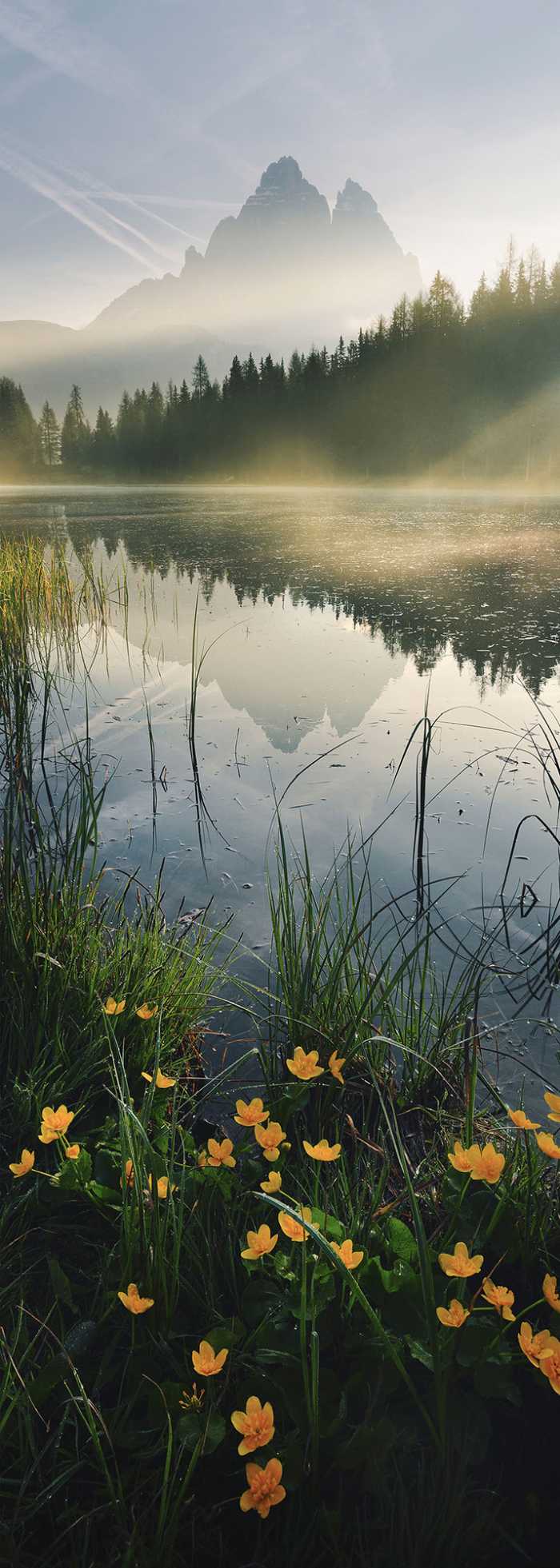 Panneau sur intissé  Morning Mist