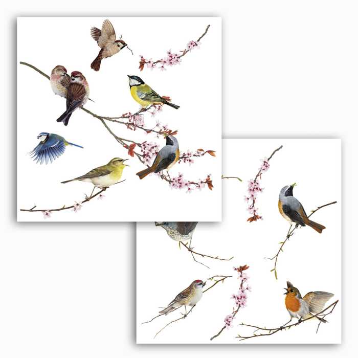 Sticker fenêtre Birds