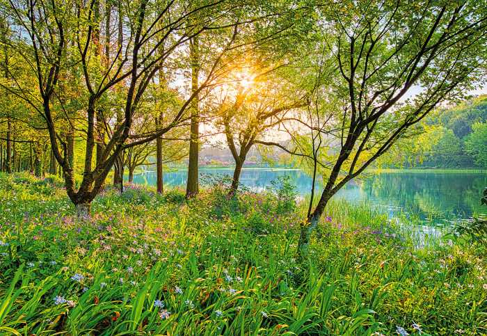 Photo murale Spring Lake