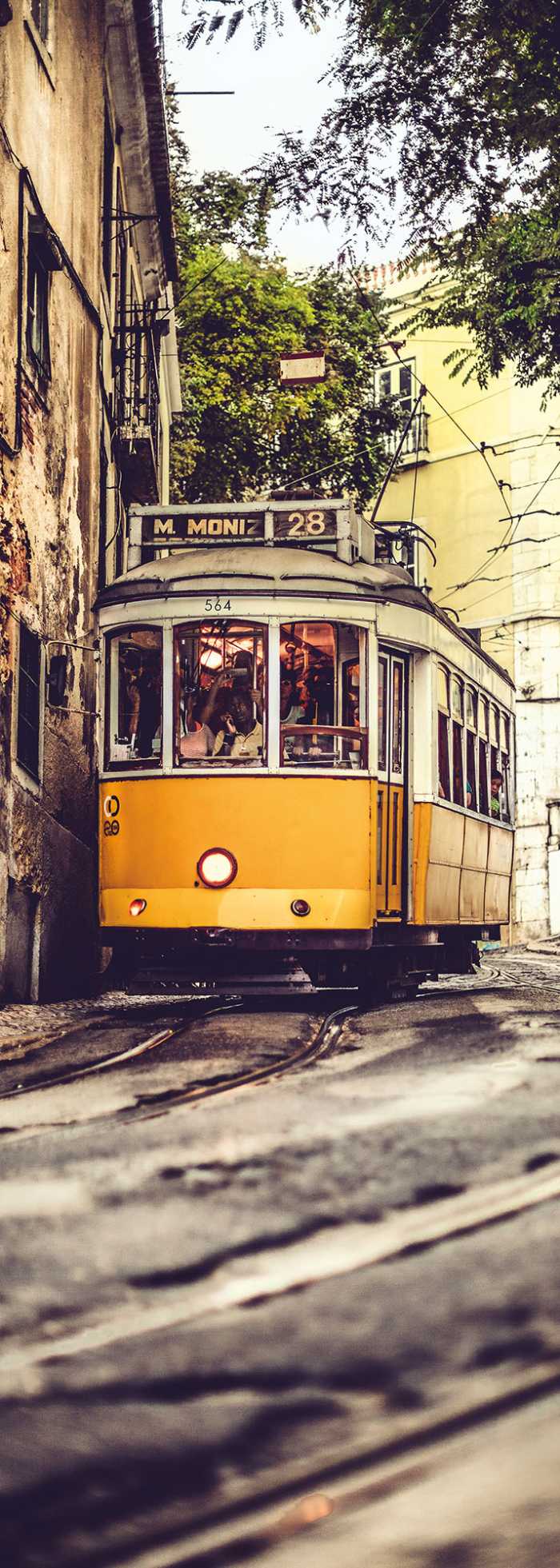 Panneau sur intissé  Lissabon