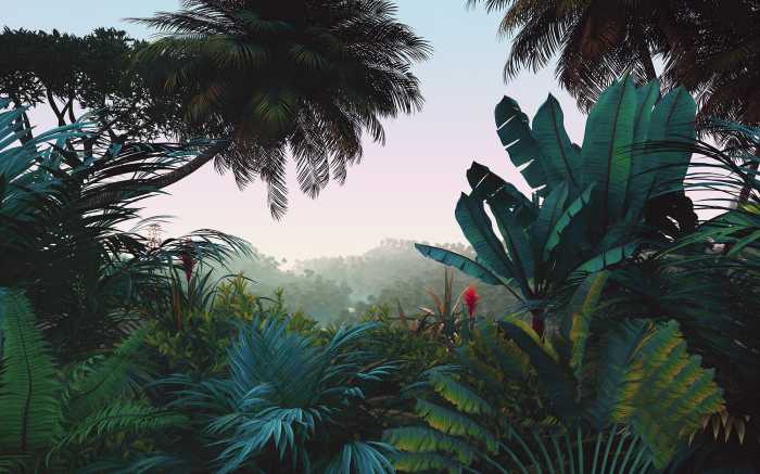 Photo murale intissé impression numérique Jungle Morning