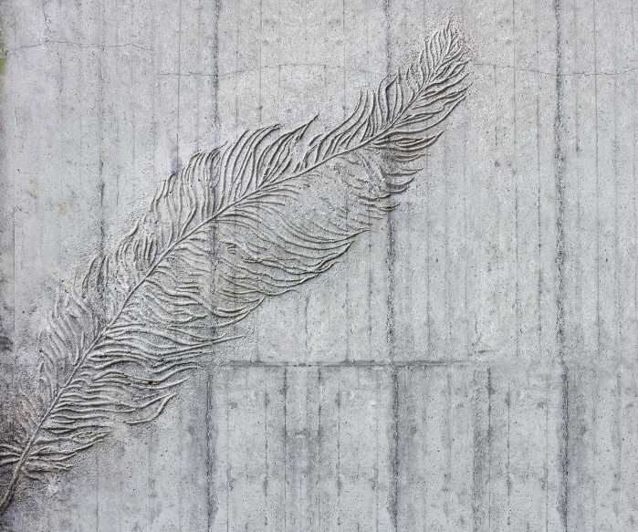 Photo murale intissé impression numérique Betonfeder